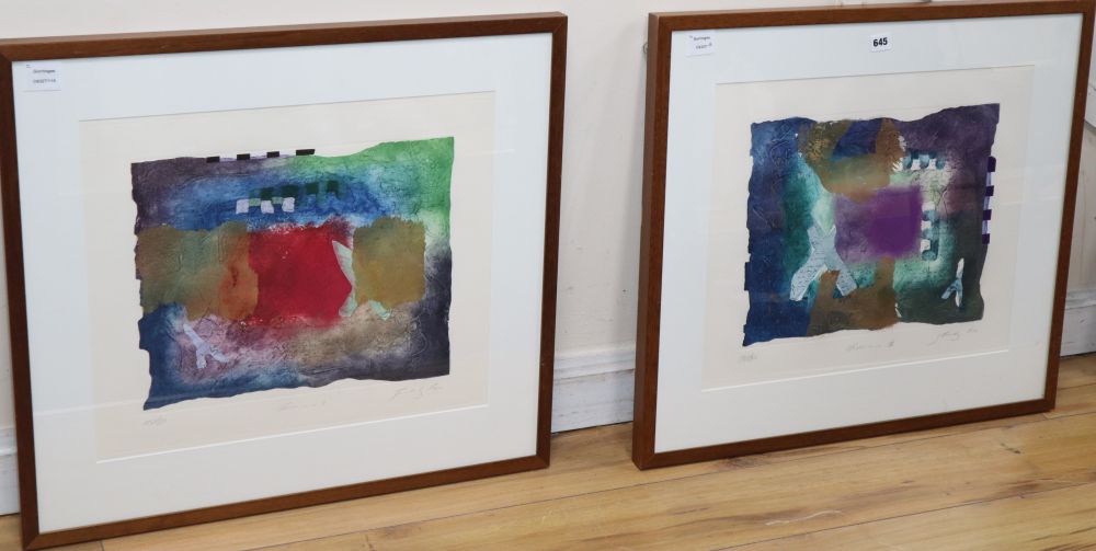 James Cox, pair lithographs with mixed media, Carminio I, 155/250 and Carminio II, 136/250, signed in pencil, 32 x 40cm
